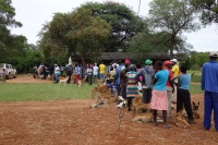 People queuing with dogs for vaccination ans spays
