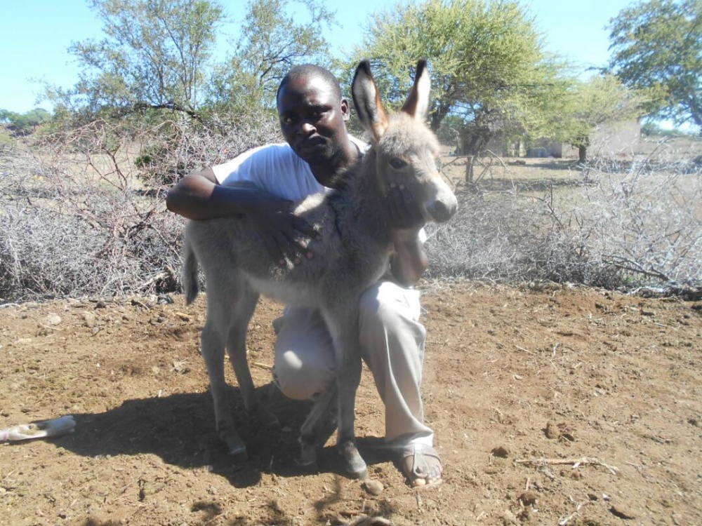 Erick with Donkey Foal
