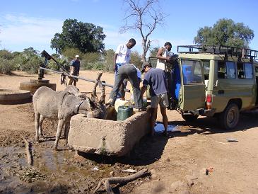 Collecting water from a manual borehole