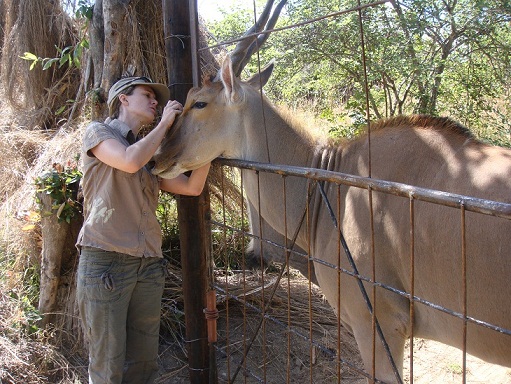 Lisa treating eland's eye