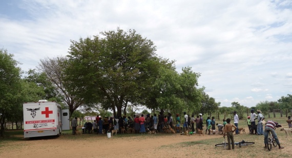 Villagers queuing for dog vaccinations