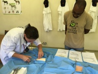 Andy watches a student practice suturing