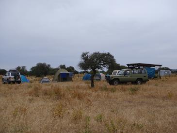 Camp at the sterilisation campaign