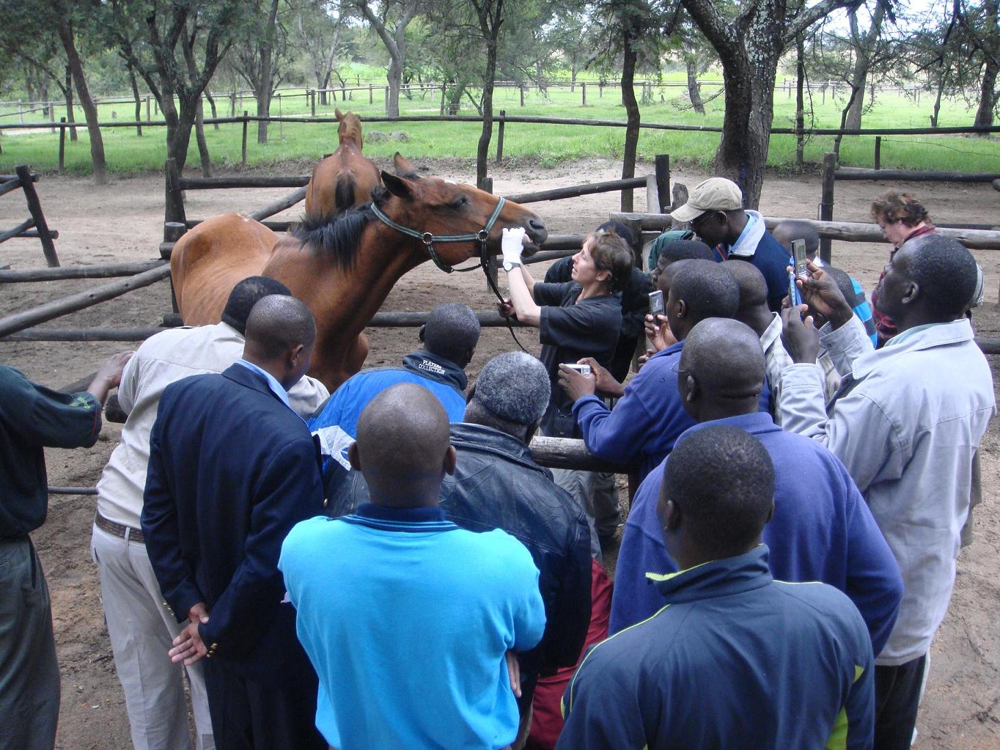 Karen demonstrating dental exam