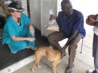 dog going home with kibbles